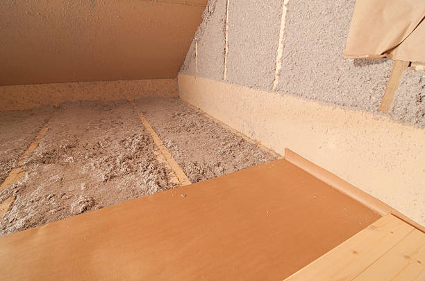 Best Geographic-Specific Insulation Services in Indian Springs, GA