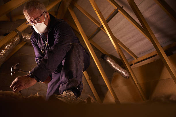 Types of Insulation We Offer in Indian Springs, GA